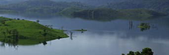 Banglore Wayanad Tour Packages