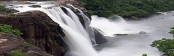 Calicut Wayanad Tour Packages