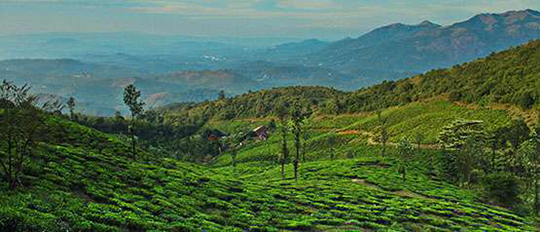 Tourist places in Wayanad
